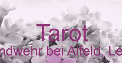 Tarot Landwehr bei Alfeld, Leine | Top-Experten für Kartenlegen, Wahrsagen, Hellsehen, Zukunftsdeutung. Tarot Landwehr bei Alfeld, Leine | Top-Experten für Kartenlegen, Wahrsagen, Hellsehen, Zukunftsdeutung.